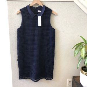 Cupcakes & Cashmere Preppy Navy collared mini dress